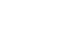 Palladium Investments Logo